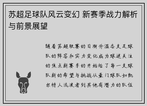 苏超足球队风云变幻 新赛季战力解析与前景展望